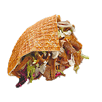 Cheesy German Döner 